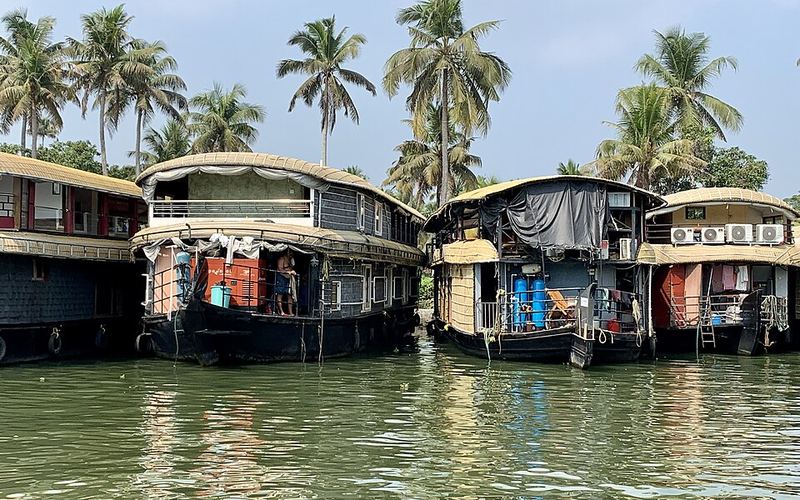 Houseboats on the Alleppey backwaters