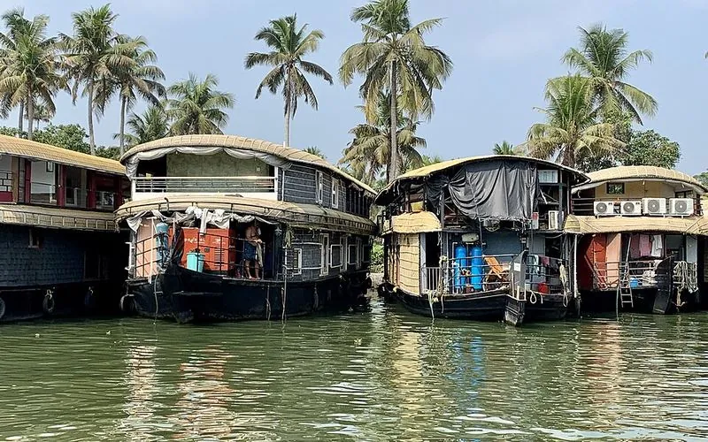 Houseboats on the Alleppey backwaters