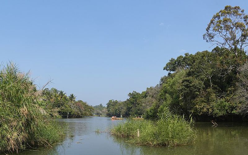 Kabini river